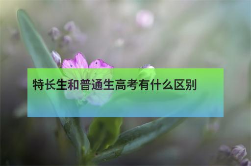高考特長生和普通生在考試錄取等多方面存在這些不同