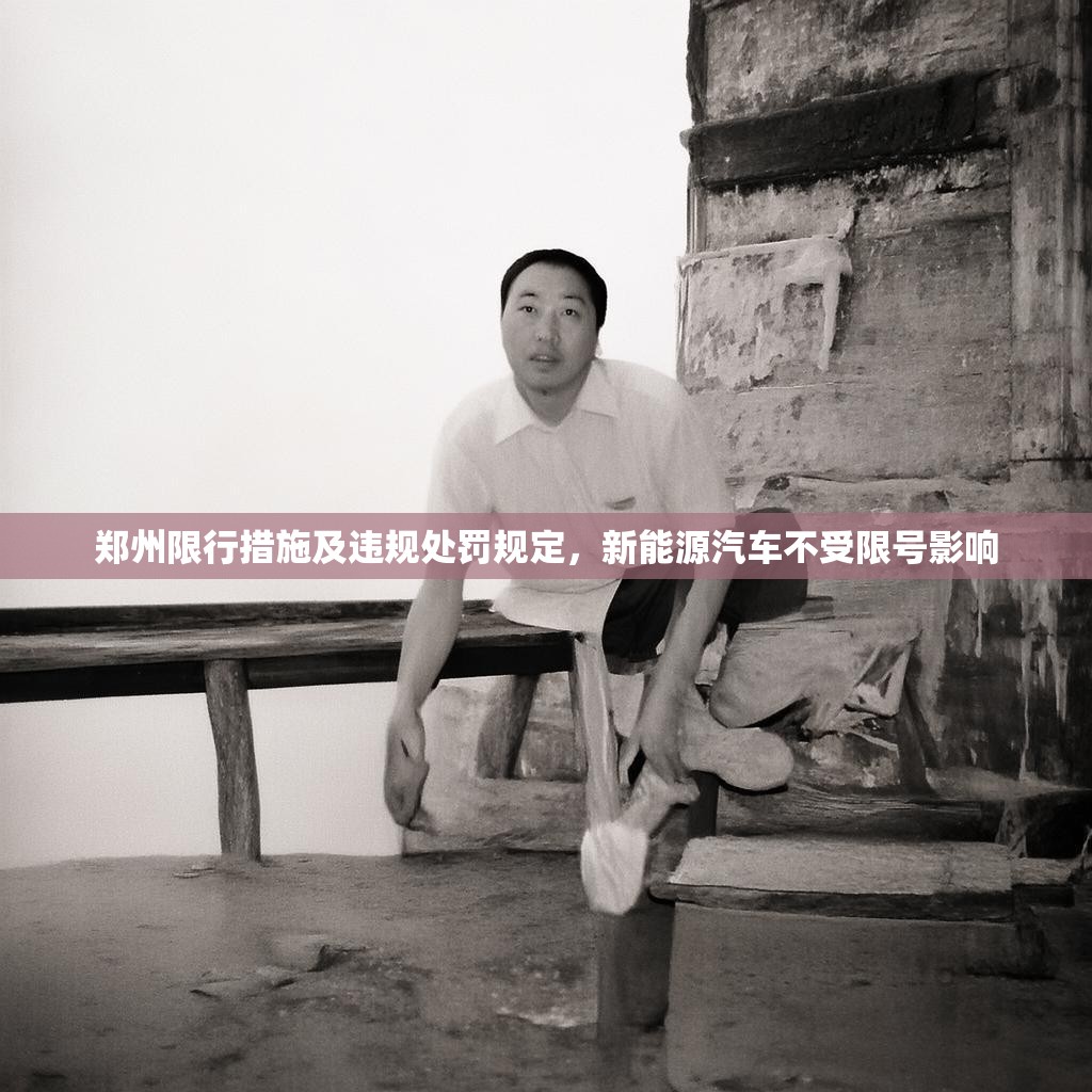 鄭州限行措施及違規(guī)處罰規(guī)定，新能源汽車不受限號(hào)影響