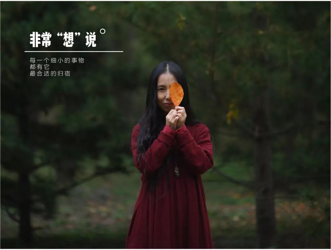 2021春節(jié)快遞停運時間表辟謠，哪些快遞不停運？中通順豐韻達(dá)聲明