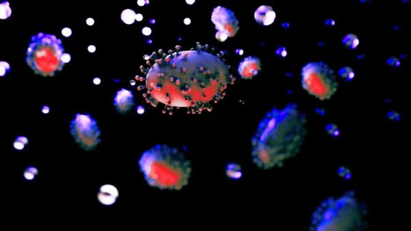 北京廣州現(xiàn)猴痘病例，專家解讀及防護要點，附疫情最新情況