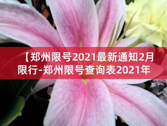 2021年鄭州限號(hào)政策及外地車限號(hào)規(guī)則查詢