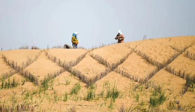 高考地理?？忌痴现紊常涸?、類型、應用及效果評價