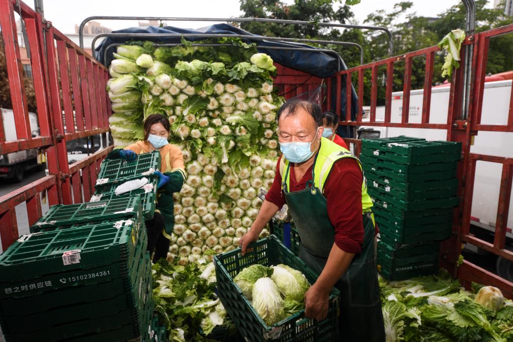 奧密克戎下北京廣東重慶抗疫戰(zhàn)情，重慶新系統(tǒng)提升防控效率