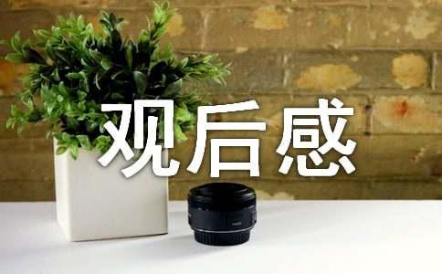 四年級(jí)學(xué)生必看！冬奧會(huì)觀后感范文精選10篇助你吸收新思想