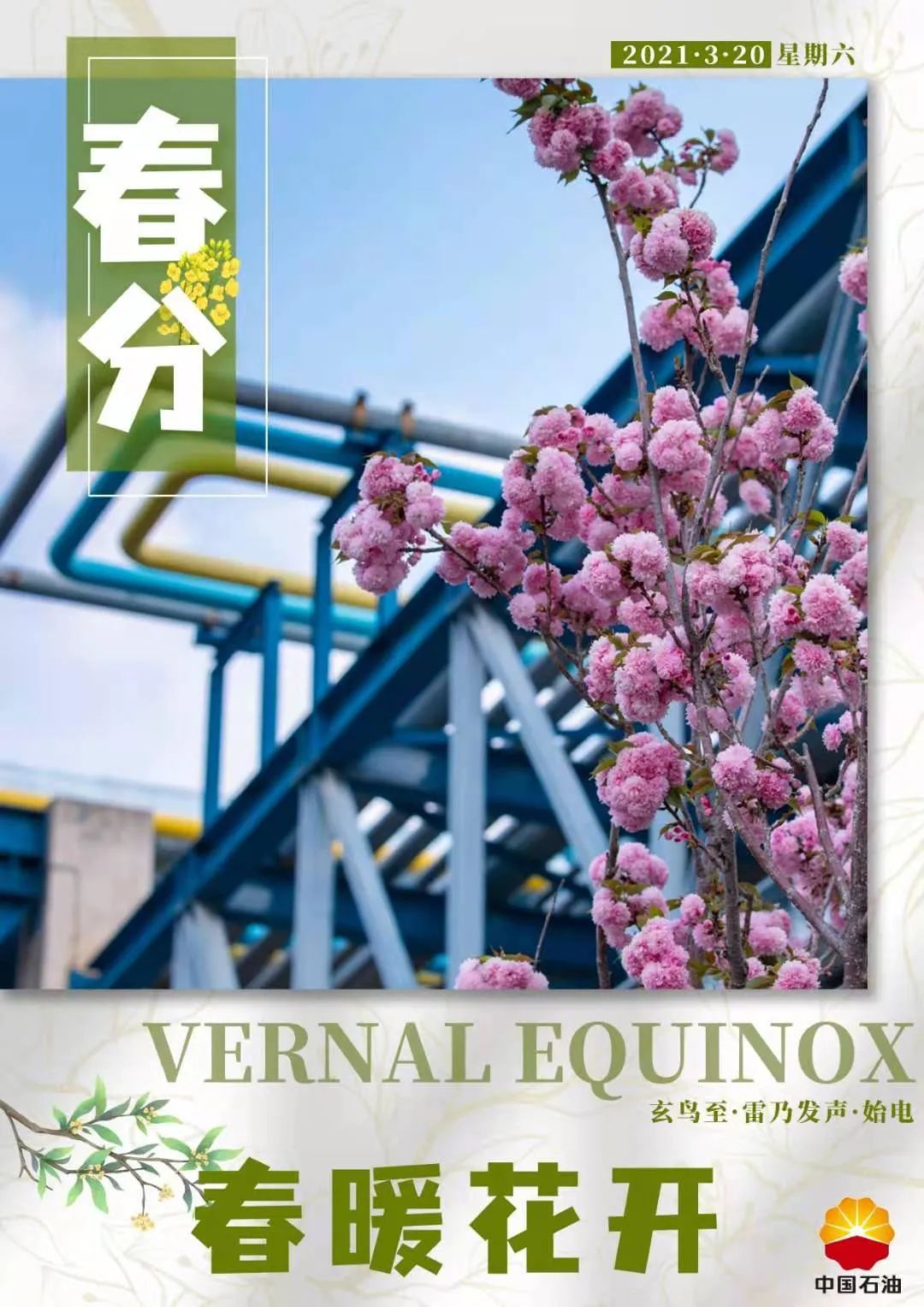 春日出行防違章扣分，這些交通違法情況可申訴撤銷