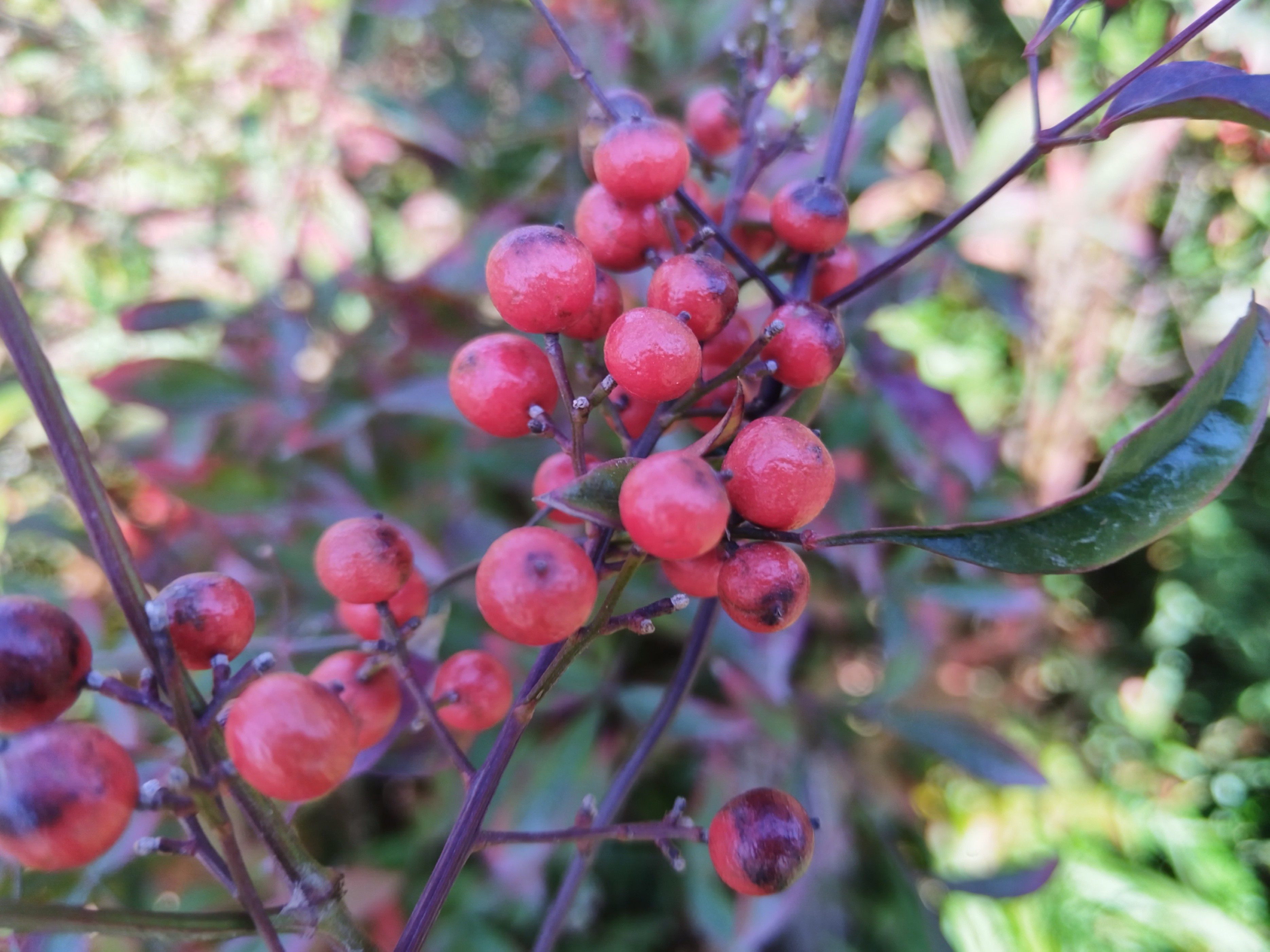 高考百天倒計(jì)時(shí)，家長(zhǎng)別給孩子施壓，要學(xué)會(huì)自我管理